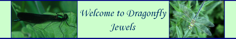 DragonflyJewels